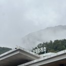 용평버치힐테라스레지던스콘도 | [가을휴가🍁]강원도 3박4일 여행(1):강릉편 #내돈내산 #스카이베이호텔 #버치힐테라스레지던스🍂