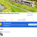 메이플비치 골프&리조트 | [강릉태교여행] 메이플비치호텔 골프리조트 겨울수영장 내돈내산 추천후기