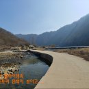 천반산민박 Daum카페