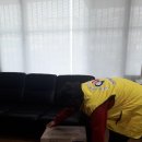 주식회사이삭 네이버블로그