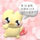 천호쭈꾸미 이미지