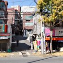 금광주단 이미지