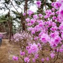 💖 Greatest Hits Romantic Love Songs - Soft Rock Ballads 80's 90's - Playli 이미지