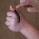 별고을테마파크 이미지