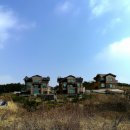 웰리힐리파크 관광단지 이미지