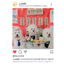 우다다 유치원 이미지