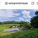 숲이랑농원 이미지