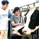 예찬목장 이미지