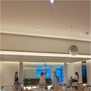 날씬한요가바니핏필라테스 - 전주시 덕진구 조경단로 92 | 전주필라테스, 바니핏에서 숨겨진 바디라인을 찾아보세요!