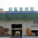 안면청과 이미지
