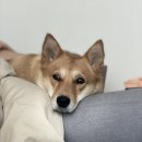 구덕운동장 육교 인근 이미지