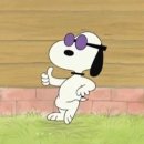 이쁘면다냥 이미지