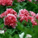 아름다운 선물 이미지