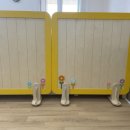 왕궁초등학교 이미지