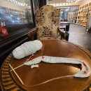 드래곤밸리호텔 이미지