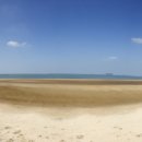 튤립공원 이미지