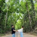 포레스트몰 이미지