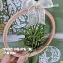 인제군 검정고시반(고졸) | 2024년 예비신부가 되어서 블로그 다시 시작하기