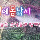 벵에돔 낚시 (Opaleye Fishing)