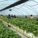 희진농장 이미지