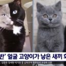 영미식당 이미지