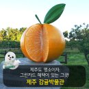 효돈순환로 이미지