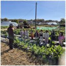 하늘꿈어린이집 이미지