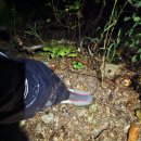 신정리마을회관 이미지