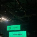 The Creator | 250914 Tyler, The Creator 내한 후기