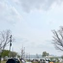 자양 뚝섬 한강공원 | 그늘막 텐트존 피크닉 후기 (푸라닭 콘소메이징 후기는 덤)