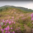 봉화산 이미지