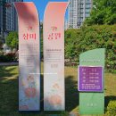 5월 창원 꽃구경 | 사진 찍기 좋았던 창원장미공원 후기