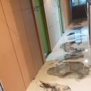 아트모텔 이미지