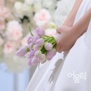 [No플래너No패키지👰] 대전 코랄무드 부케 후기/ 튤립부케 후기/ 대전 부케 내돈내산