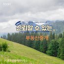 지음부동산공인중개사사무소 이미지