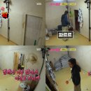 부용수지 티스토리