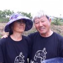 도고농장 이미지