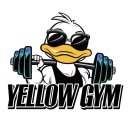 옐로우 짐 이미지