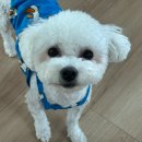 사계절잔치집 이미지