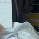 푸른날 네이버블로그