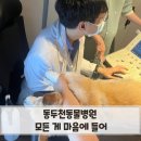 포근한동물병원 | 동두천동물병원 모든 게 마음에 들어