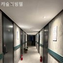 캐슬리빙텔 - 영등포구 도영로7길 14 | 캐슬리빙텔