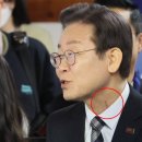 C.T.종합동물병원 이미지