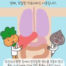 해드림케어