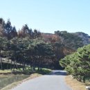 대둔산목장 이미지