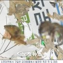 나씨쇼핑몰