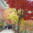 그대, 구대