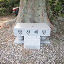 삼척주목나무집