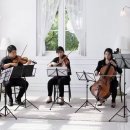 휴먼월드 이미지