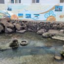 천주교 순례길 - 김기량길 이미지